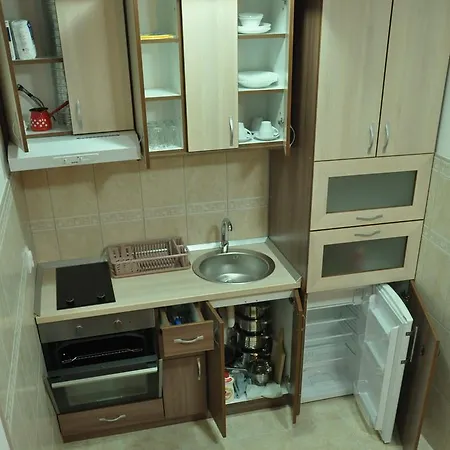 Apartment Alex Vrnjačka Banja