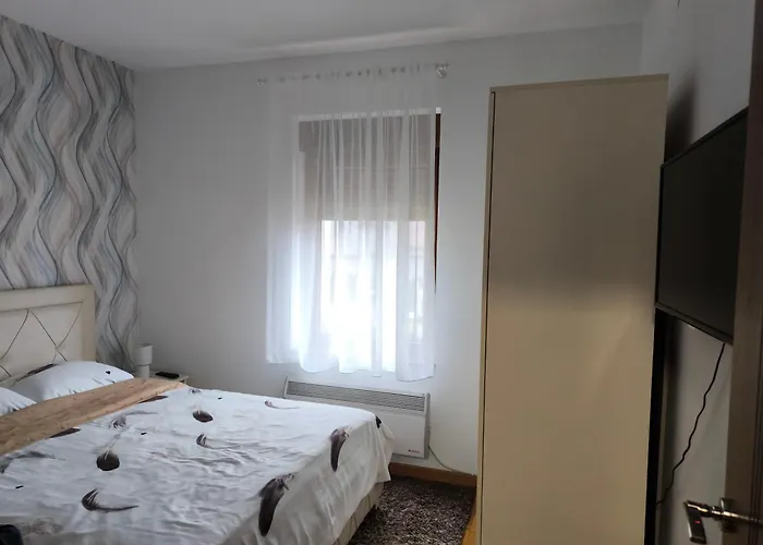 Διαμέρισμα Alex Vrnjačka Banja